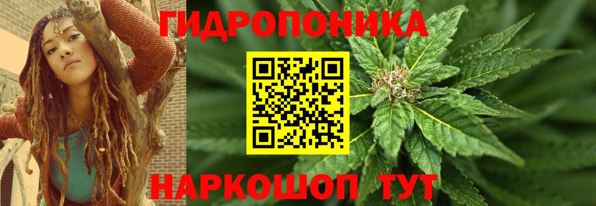 Канабис VHQ Кувандык